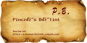 Pinczés Bálint névjegykártya